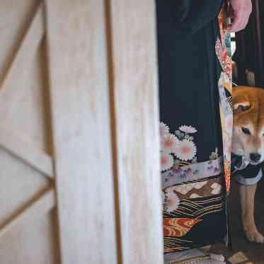 インフィニート 名古屋<エルフラットグループ> 先輩カップル実例
大好きなペットと一緒にご結婚式
親御様とヴェールダウン