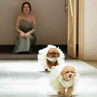 インフィニート 名古屋<エルフラットグループ> 先輩カップル実例
大好きなペットと一緒にご結婚式
リングドッグ