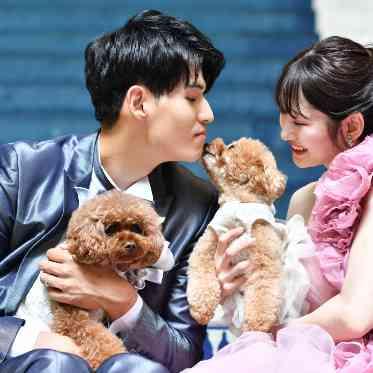 インフィニート　名古屋＜エルフラットグループ＞ 先輩カップル実例
大好きなペットと一緒にご結婚式
大階段でBest Shot