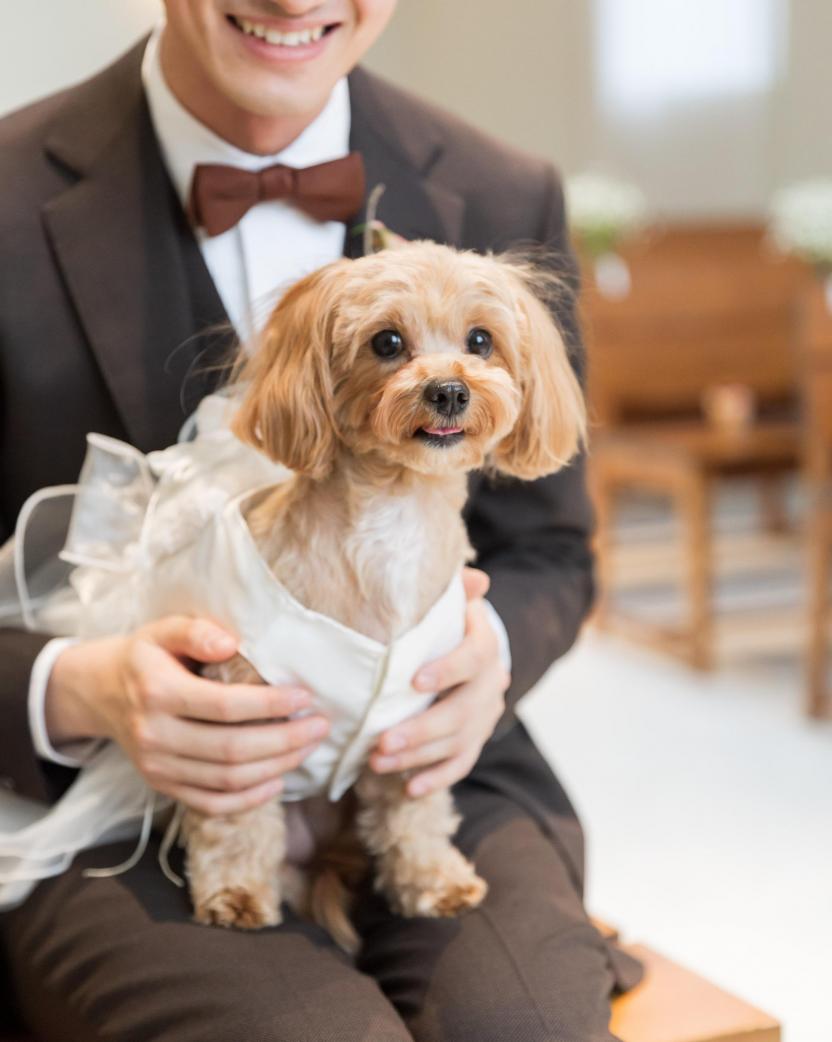 Things Aoyama Organic Garden. dth 挙式会場