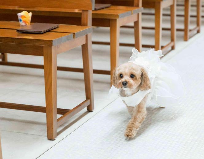 Things Aoyama Organic Garden. dth 挙式会場