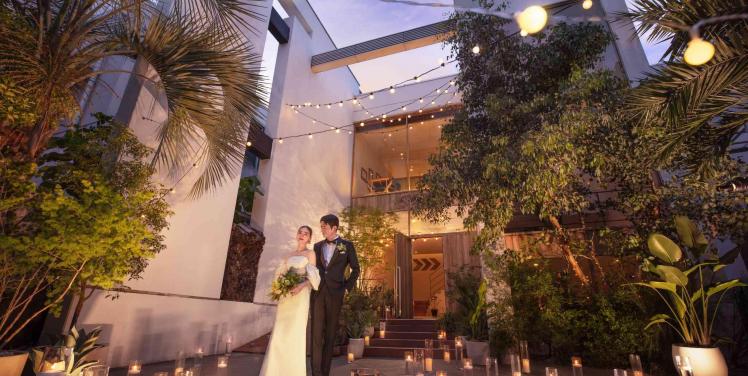 Things Aoyama Organic Garden. dth ガーデン