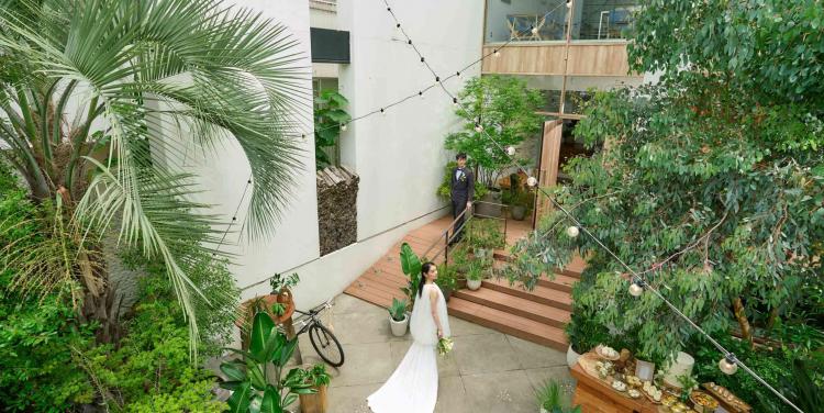 Things Aoyama Organic Garden. dth ガーデン