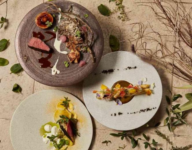 Things Aoyama Organic Garden. dth 料理