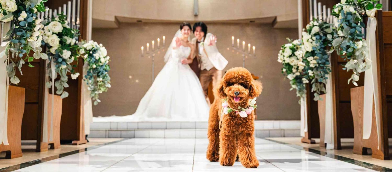 Socia21(ソシア21) 挙式会場