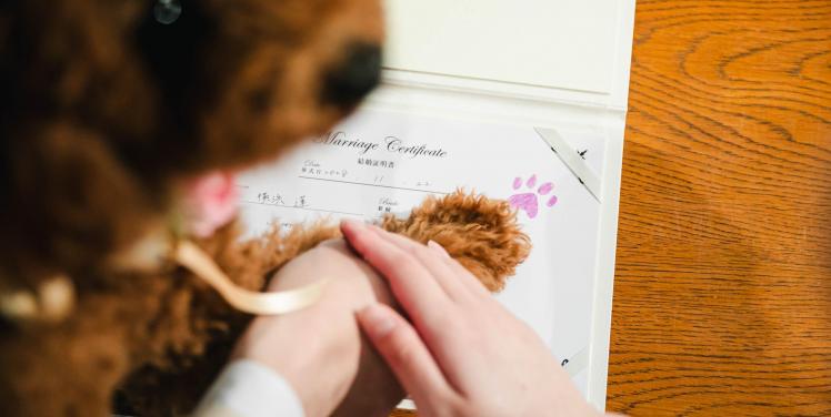 Socia21(ソシア21) 挙式会場