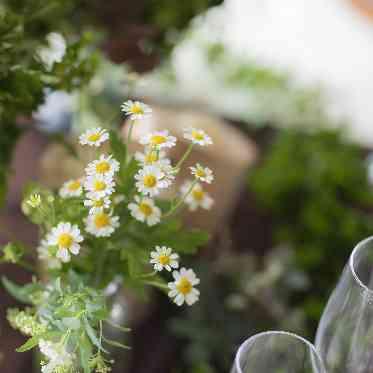 Socia21(ソシア21) お花にもこだわりを…