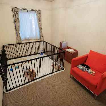 Socia21(ソシア21) ペット控室