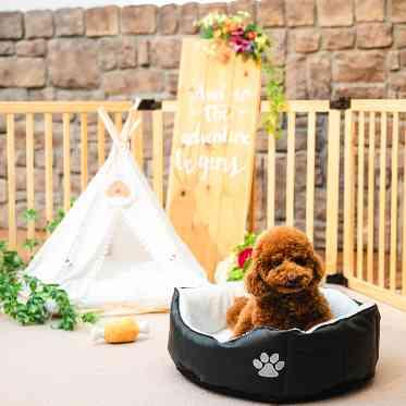 Socia21(ソシア21) ペットゲージ