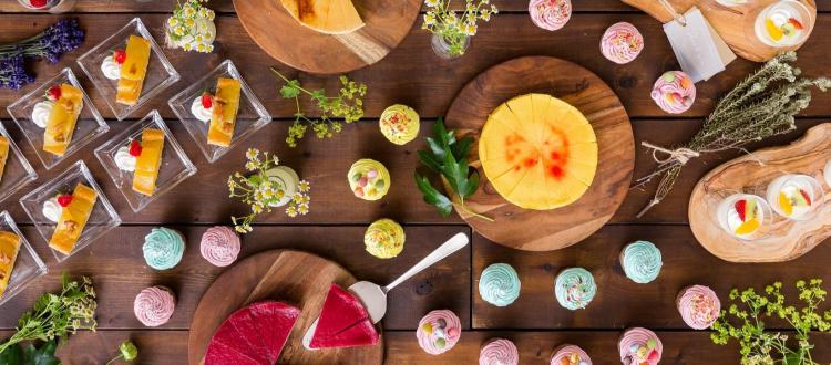 Socia21(ソシア21) 料理