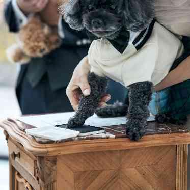 ルシェルブラン表参道 大切なわんちゃんの肉球入り結婚証明書