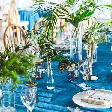 アヴァンセ リアン 大阪 癒しのグリーン装飾も素敵にコーディネート