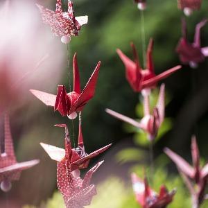 THE LANDMARK SQUARE OSAKA (ザ ランドマークスクエア オオサカ) 神社での神前式も専属プランナーがサポート