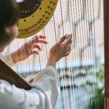 ハープで奏でる生演奏の音色で、五感すべてで記憶に残るお時間に