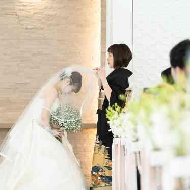 The Palm Garden(ザ・パームガーデン)<エルフラットグループ> ベールダウン