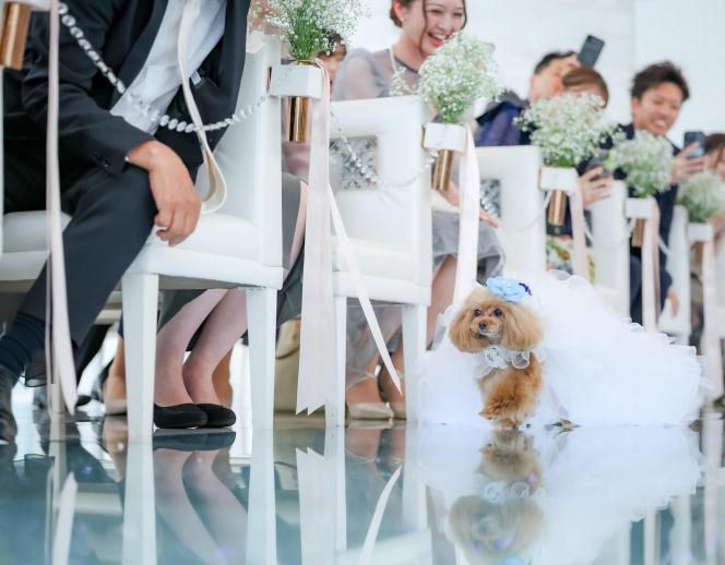 The Palm Garden（ザ・パームガーデン）＜エルフラットグループ＞ 挙式会場