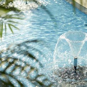 The Palm Garden(ザ・パームガーデン)<エルフラットグループ> 窓越しからプールを眺め和やかな雰囲気