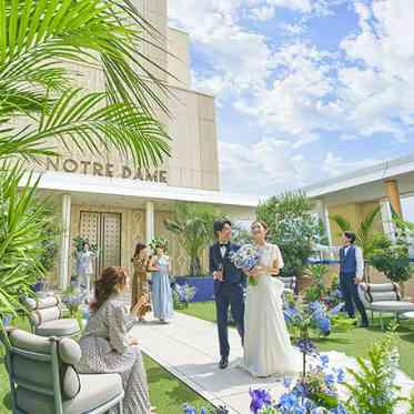 スカイガーデン