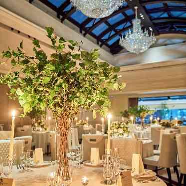 ステラ・デル・アンジェロ シエロ ナイトW