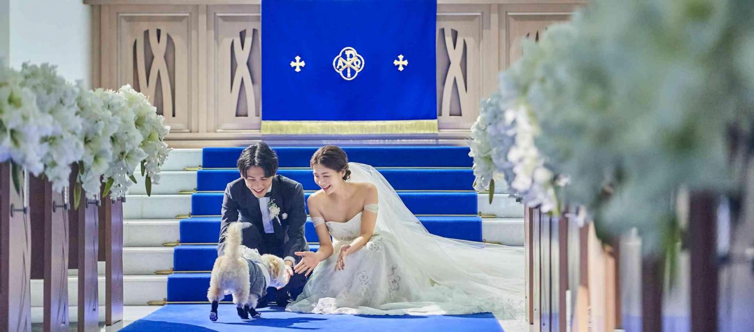 アニヴェルセル 大阪 披露宴会場