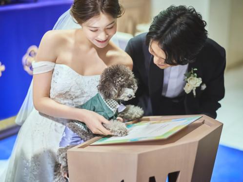 アニヴェルセル 大阪 披露宴会場