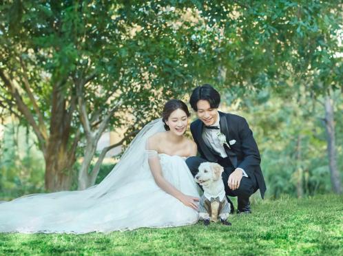 アニヴェルセル 大阪 披露宴会場