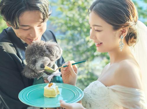 アニヴェルセル 大阪 披露宴会場