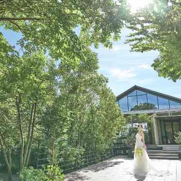 奈良町 あしびの郷 緑に包まれたお庭も1日1組限定の貸切