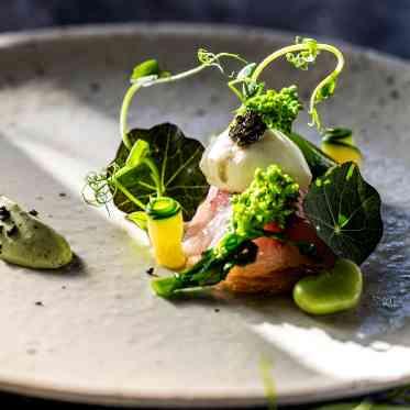 MIRAIE Wedding(ミライエウエディング) ヌーベルキュイジーヌジャポネーズ
(新感覚和食)は目にも舌にも美味しいお料理