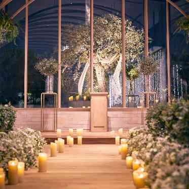 ampersand By LAGUNAVEIL ATELIER(アンパサンド バイ ラグナヴェールアトリエ) ナイトタイムにライトアップされる夫婦の木といわれる「オリーブの木」