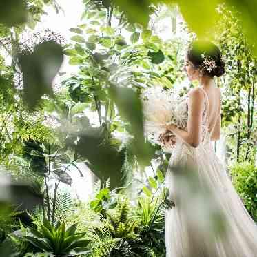 キャトルセゾン浜松 Les Quatre Saisons Hamamatsu インナーガーデンでは緑に囲まれた写真映えする空間