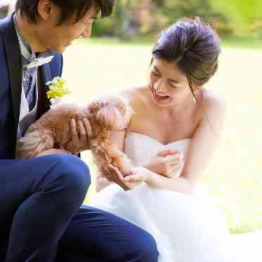 つま恋リゾート 彩の郷 (さいのさと) リングドッグお疲れさま