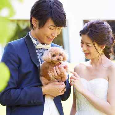 つま恋リゾート 彩の郷 (さいのさと) ワンちゃんと②