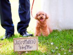 つま恋リゾート 彩の郷 (さいのさと) 外観