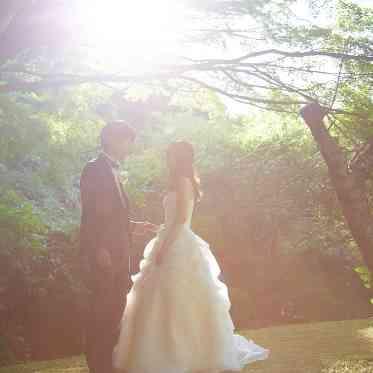 つま恋リゾート 彩の郷 (さいのさと) 木漏れ日の中