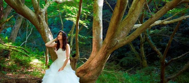 つま恋リゾート 彩の郷 (さいのさと) ガーデン