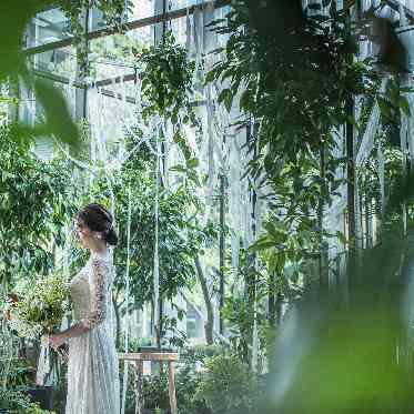 MEDI (メディー) 一足踏み入れた瞬間に、緑の呼吸を感じる森のチャペル