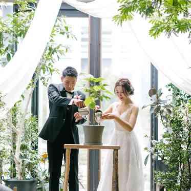 MEDI (メディー) 【カップル実例】ゲストの皆様参加型の植樹セレモニー