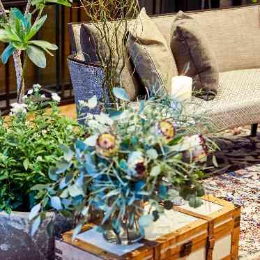 MEDI (メディー) 【コーディネート実例】コーデを引き立たせるラグと、garageの観葉植物を使って