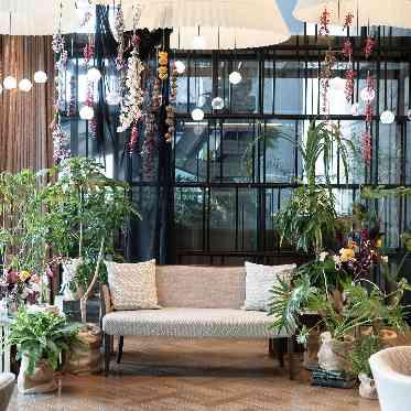 MEDI (メディー) 【コーディネート実例】多種のグリーンが
華やかに印象づけるメインコーデ