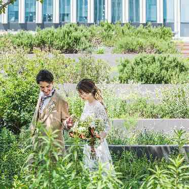 MEDI (メディー) まるで草原を歩くように。