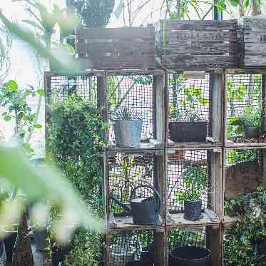 MEDI (メディー) インテリアを使ったコーディネートも可能