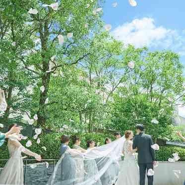 大宮璃宮 緑溢れる中でのフラワーシャワー。風に舞う花びらとゲストの笑顔が溢れる