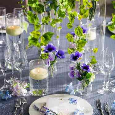 Ciel Belle Terre(シエル ベル テール) リーフィア