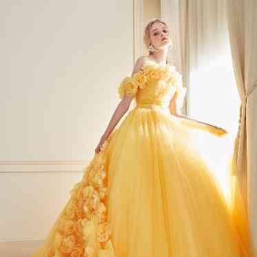 Ciel Belle Terre(シエル ベル テール) ドレス