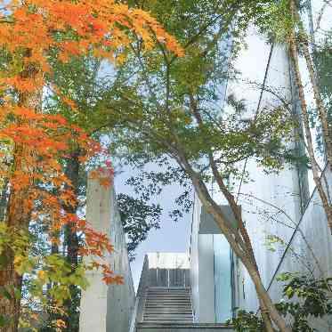 IWAI OMOTESANDO 都会の喧騒を忘れるほど緑豊かで静か