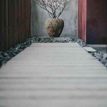 IWAI OMOTESANDO 参道