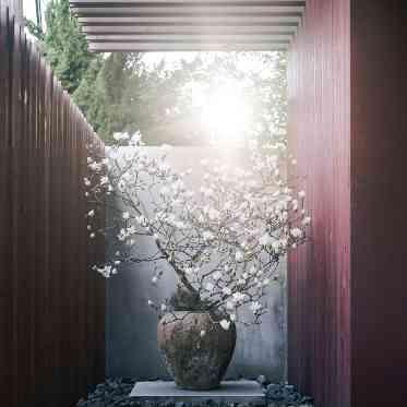 IWAI OMOTESANDO 参道