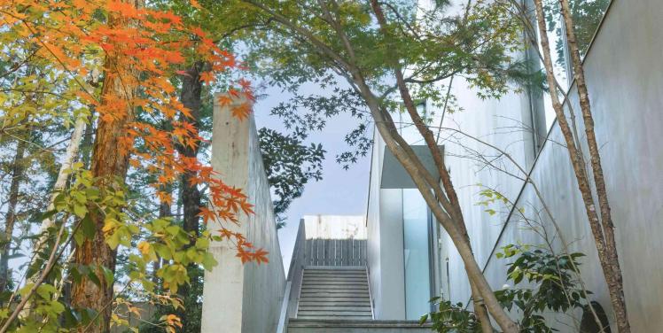 IWAI OMOTESANDO ガーデン