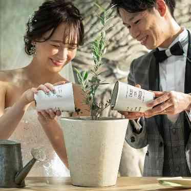 ザ クラシカ ベイリゾート 【植樹セレモニー】
平和を象徴するセレモニーで幸せな家族を育てる意味がある演出